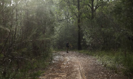 ‘Almost certain to fail’: the high-risk NSW plan to offset huge new urban growth areas