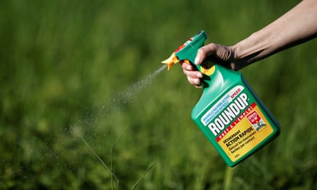 ‘Disturbing’: weedkiller ingredient tied to cancer found in 80% of US urine samples