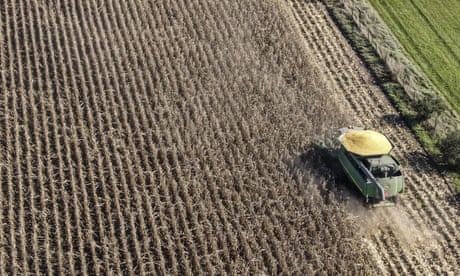 ‘Forever chemicals’ may have polluted 20m acres of US cropland, study says