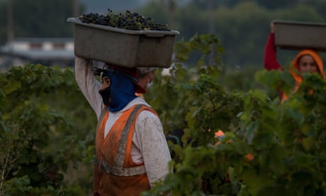 ‘Help us fight’: California farmers ask for more aid after deadly storms