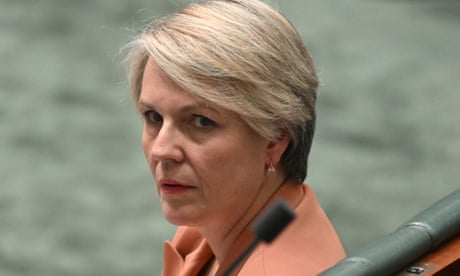 �I would get rid of them�: Tanya Plibersek said she was against stage-three tax cuts, constituent claims