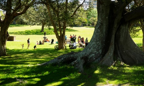 ‘Liquid gold’: Australian scientists look to recycle human urine to fertilise city parks