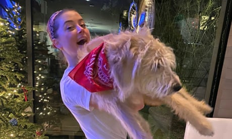 ?Meet Barnaby Joyce!?: Amber Heard names dog after Australia?s deputy PM