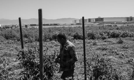 ‘Monstrosities in the farmland’: how giant warehouses transformed a California town