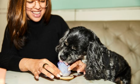 ‘Not for the human palate’: the fine dining cafe where dogs eat like royalty