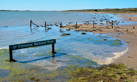 ‘Nothing off the table’ in bid to deliver 450GL of water for Murray-Darling, Labor says