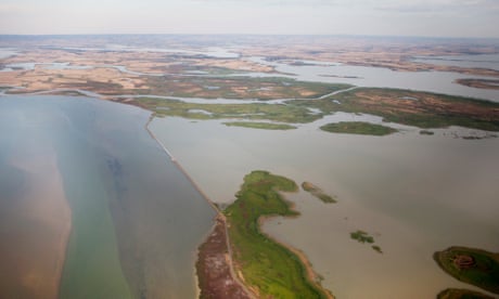 �They�re coming back�: huge flows set to restore life to parched end of Murray-Darling system