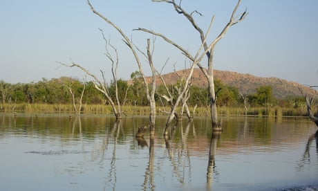 ‘Unrestrained slaughter’: extent of historical revenge killings in WA and the NT revealed