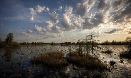 ‘Why mine so close?’: the fight to protect the pristine Okefenokee swamp