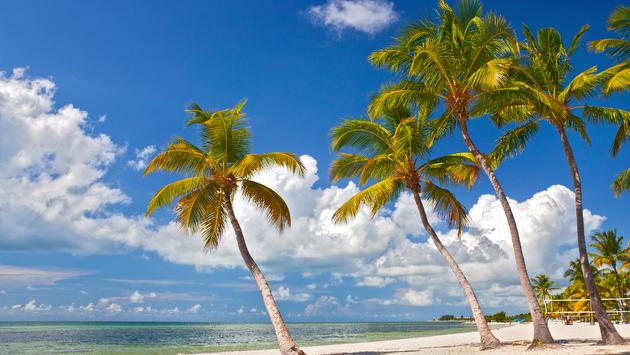 6 Not-to-be-Missed Islands in the Florida Keys