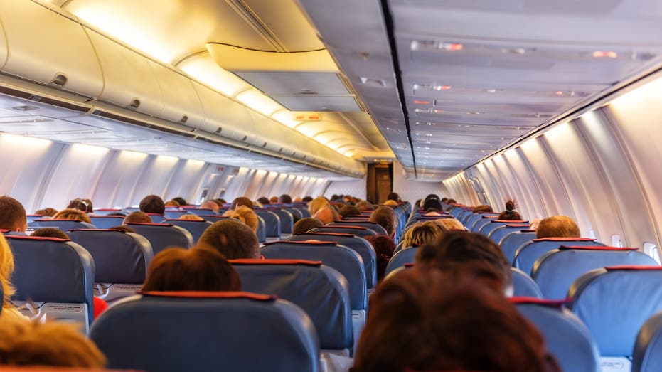 Airline passenger sparks viral debate about plus-sized seatmate issue