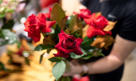 All out of love: Valentine’s Day flower prices surge as supply chain crisis hits