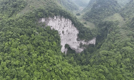 Ancient forest found at bottom of huge sinkhole in China