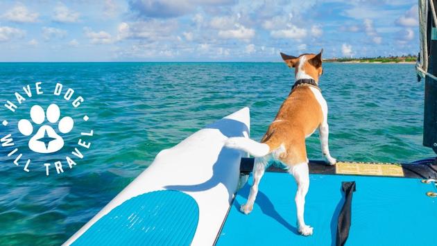 Aruba Launches ‘Have Dog, Will Travel’ Promotion for Limited Time Only