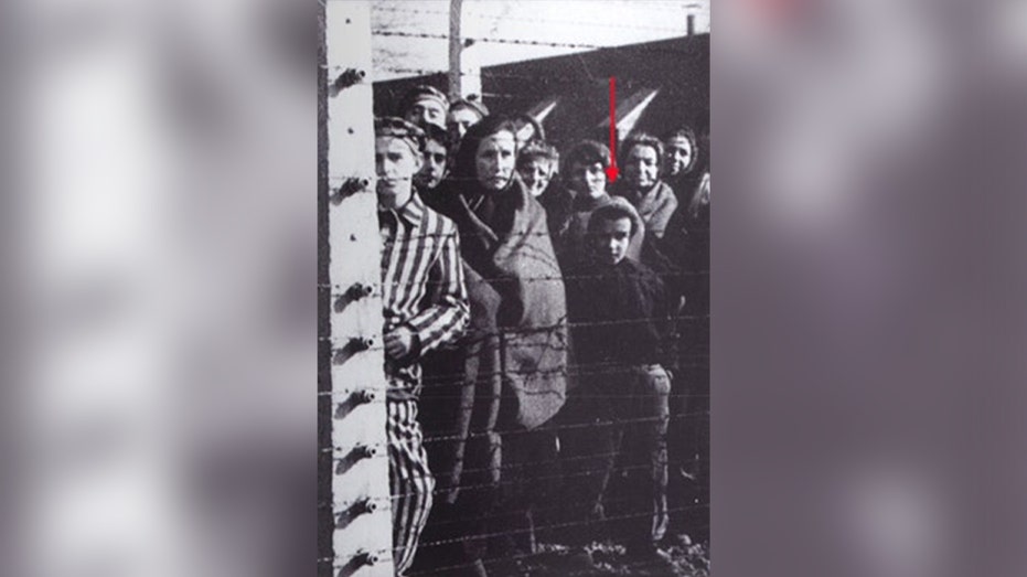 Auschwitz 80 years since liberation: Ryszard Horowitz's story of survival and making the American Dream