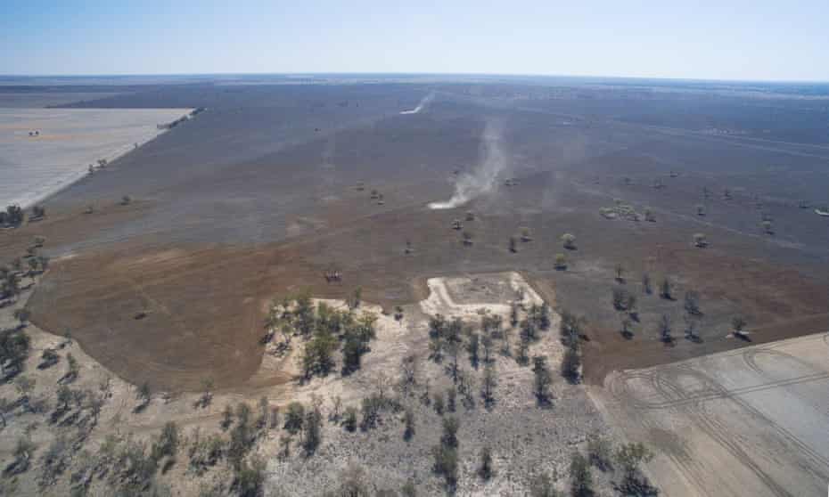 Australia's emissions from land clearing likely far higher than claimed, analysis indicates - The Guardian