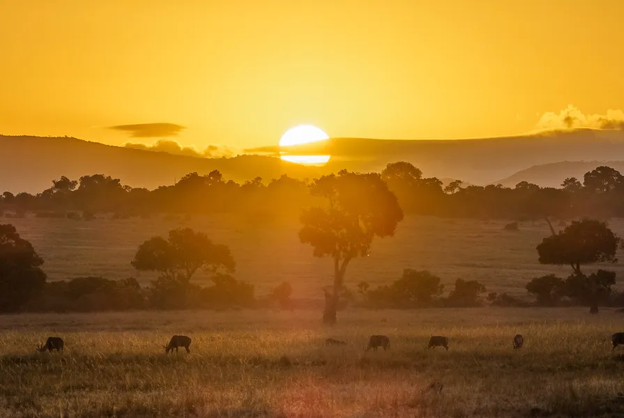 Australian architecture firm shortlisted for design of Kenyan conservation centre