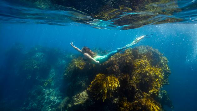 Become a Real-Life Mermaid With New Zealand’s Latest Trip Giveaway Contest