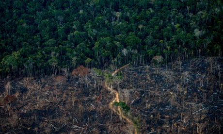 Brazil military ‘posed as NGOs on social media’ to play down deforestation