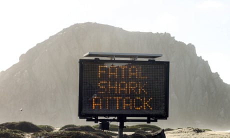 California officials close beaches after man dies in shark attack