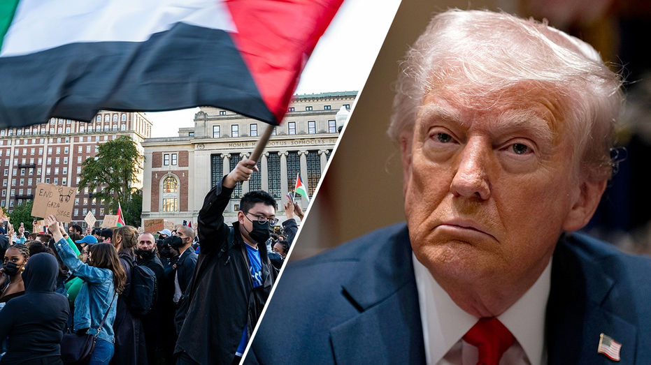 Campus activists push for anti-Trump 'mutual defense compact' of major universities