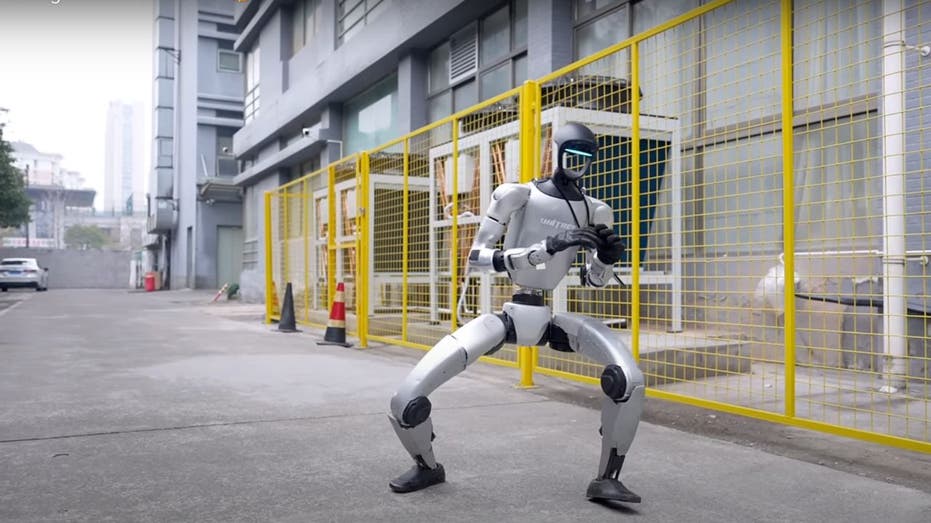 Chinese robot's kung fu moves will make your jaw drop