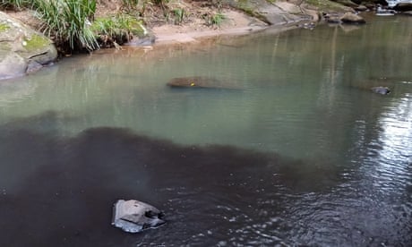 Coalmine wastewater spill south of Sydney turns Royal national park creek to black sludge