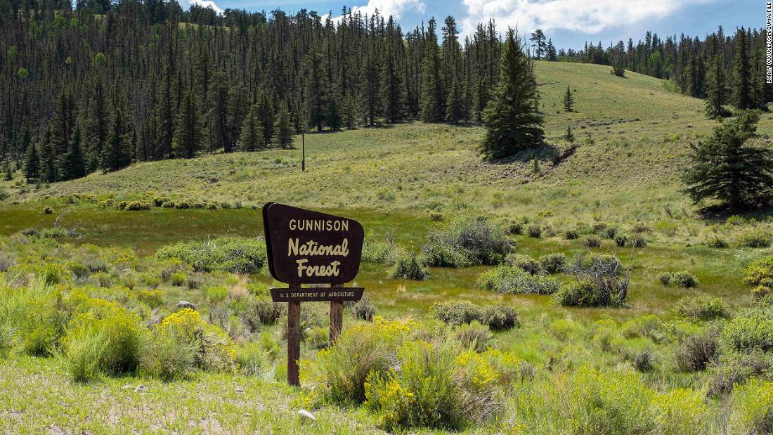 Colorado authorities are working to identify the bodies of 3 people found in a national forest but do not suspect foul play