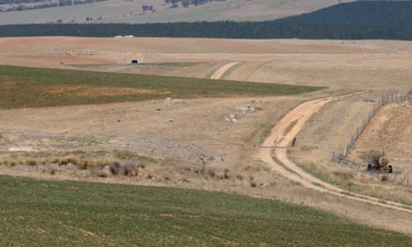 Company part-owned by Angus Taylor challenges ‘critically endangered’ listing of grasslands it poisoned