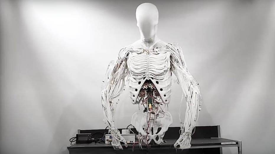 Creepy humanoid robot moves using 1,000 eerie artificial muscles