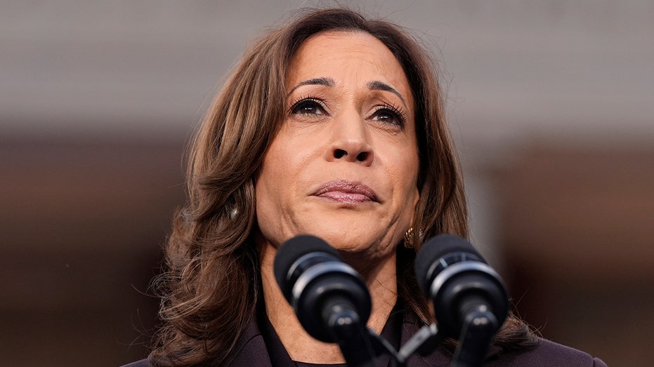 Dem Party blame game: Accusations fly as to who is responsible for Harris' massive loss to Trump