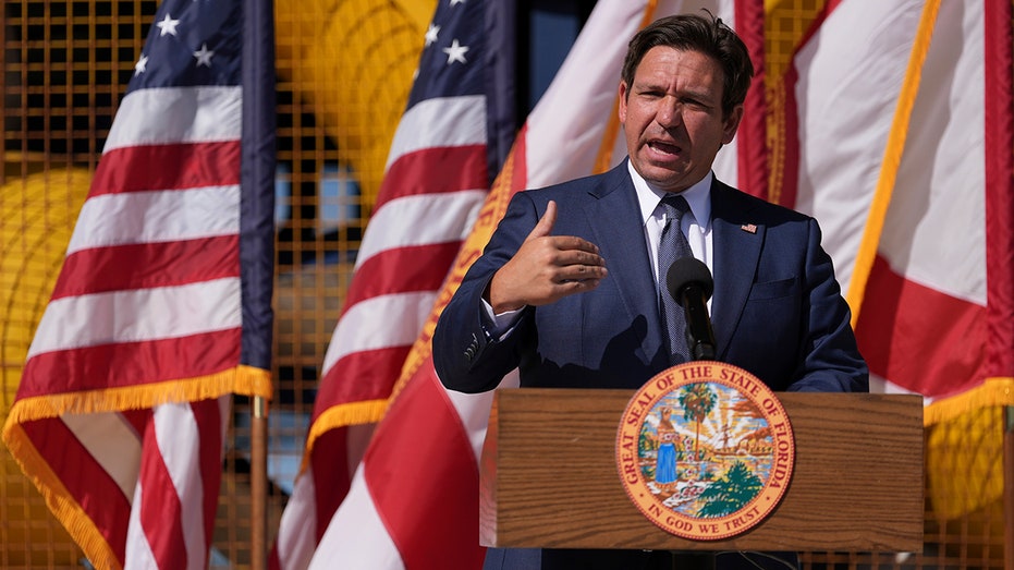 DeSantis announces Florida 'DOGE task force'