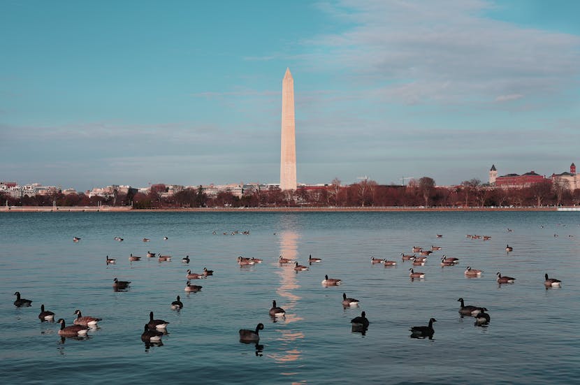 Destination DC Bolsters Sustainability Efforts, Incorporating 50+ Eco-Conscious Businesses