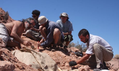 Discovery of small armoured dinosaur in Argentina is first of its kind