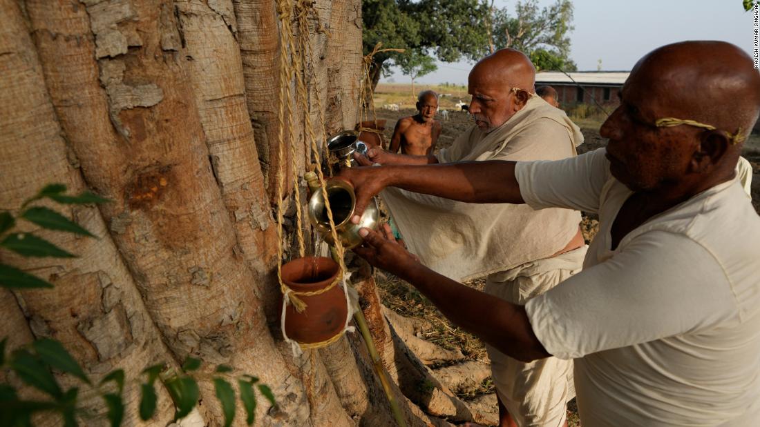 Dozens die in single district in northern India amid severe heatwave