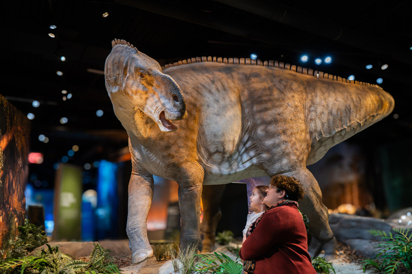 Edelman Fossil Park & Museum of Rowan University Unveils March 29, 2025 a Unique Opportunity to Explore Fossils, Dinosaurs and Immersive Interactive Exhibits