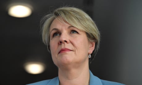 Environment to-do list: five ministerial priorities for Tanya Plibersek