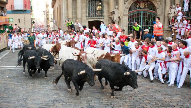 Experience Bullfights, Food and Art in Salvatierra, Mexico