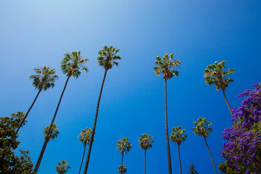 Explore Los Angeles this Fall: New hotels, dining experiences and attractions await