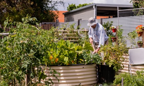 Gardeners beware: household chemicals banned overseas are still used in Australia