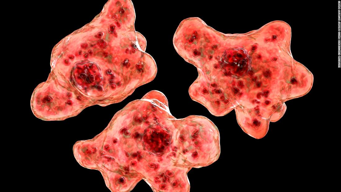 Georgia resident dies from rare brain-eating amoeba, health officials say