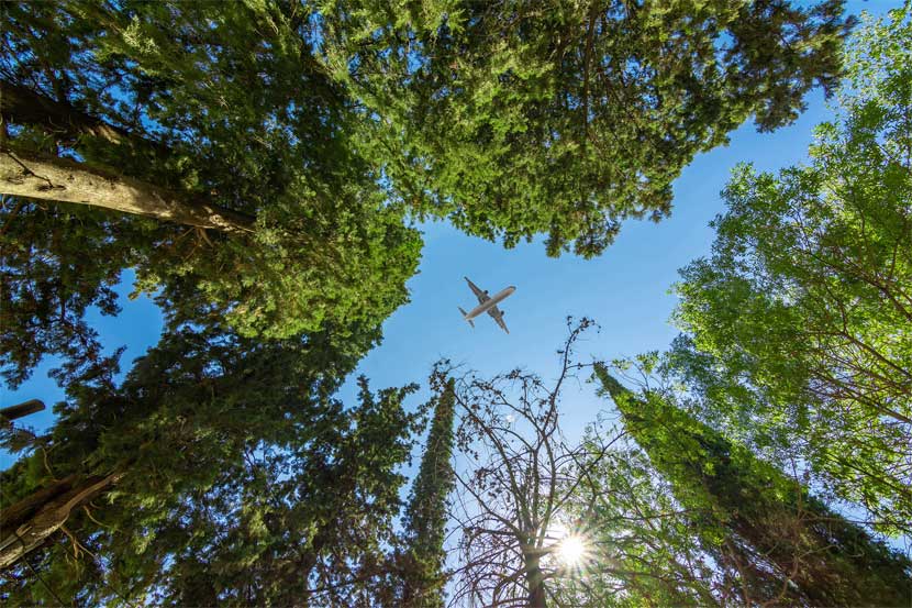 Global aviation industry unites on key priorities for improving travel accessibility, Know more