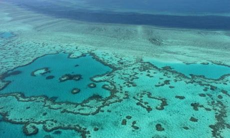 Great Barrier Reef could face another mass bleaching by end of January, forecast says