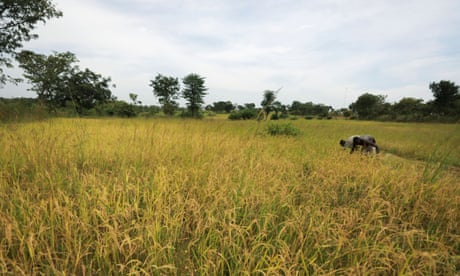 Gunmen kill at least 46 people in attack on rural village in Nigeria