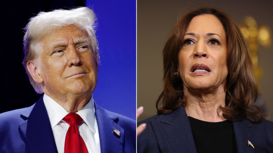 Harris campaign officials explain what went wrong -  and what Trump did right: report