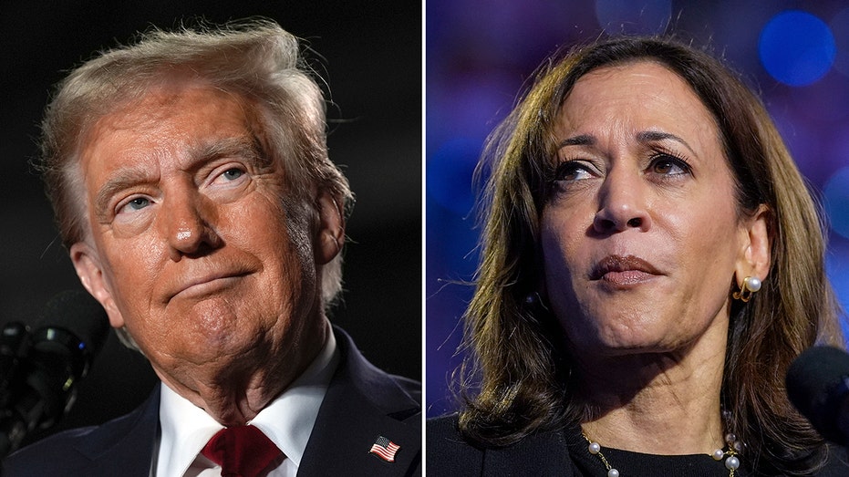 Harris never led Trump, internal polls showed - but DNC officials were kept in the dark