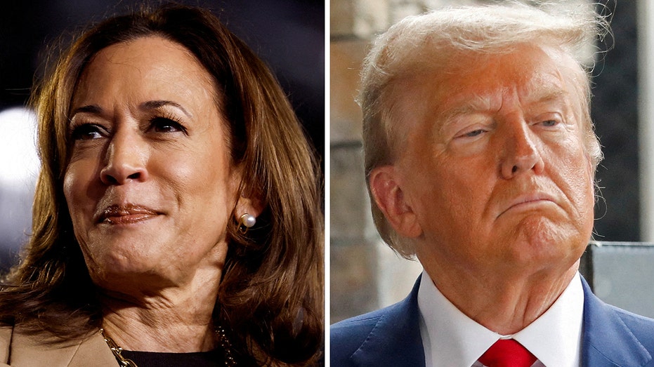 Harris, Trump conclude campaigning - now it's up to the voters as Election Day 2024 gets underway