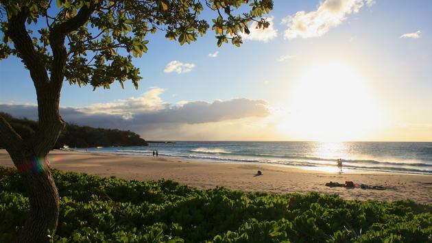 Hawaii Hotels Report Upswing in February Business