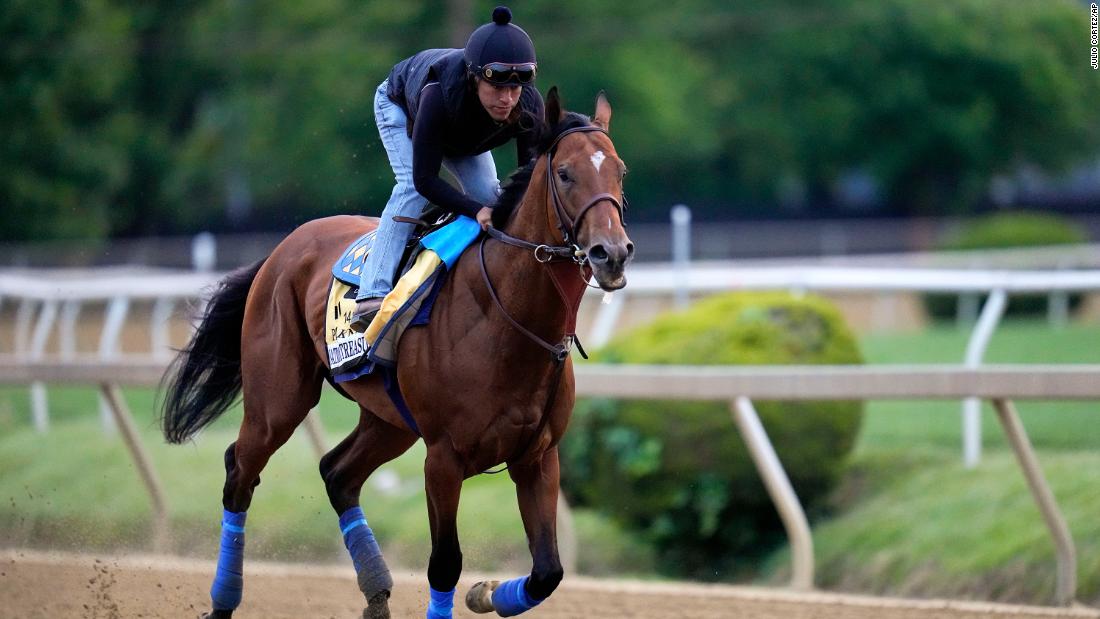 Horse euthanized hours before Preakness Stakes after suffering injury, officials say