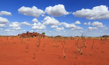 Hottest day on record in parts of Western Australia as temperature reaches 50C